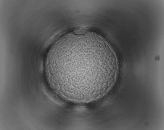 X0000110700262200906261415