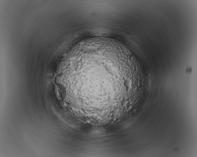 X0000110700263200906261415