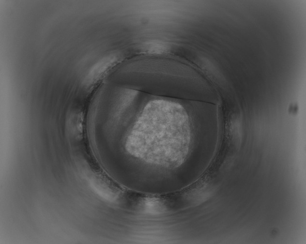 X0000110700264200906261415