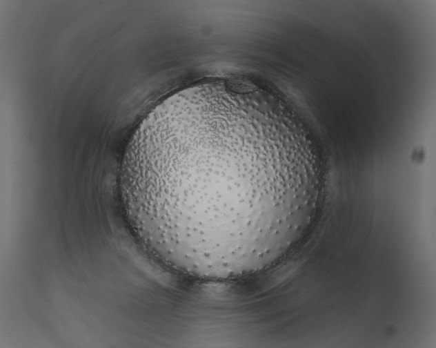 X0000110700265200906261415