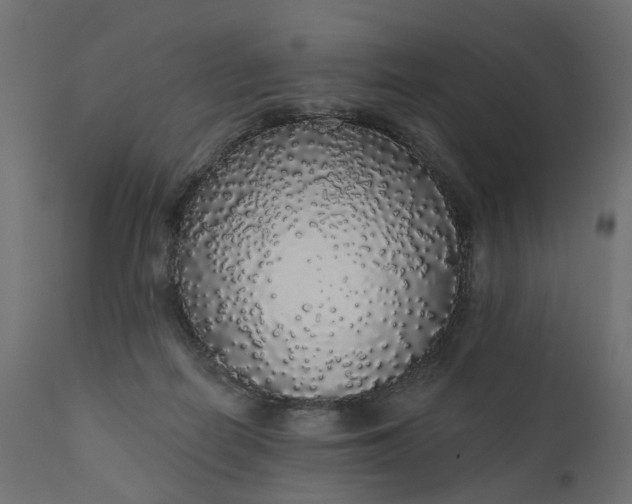 X0000110700266200906261415