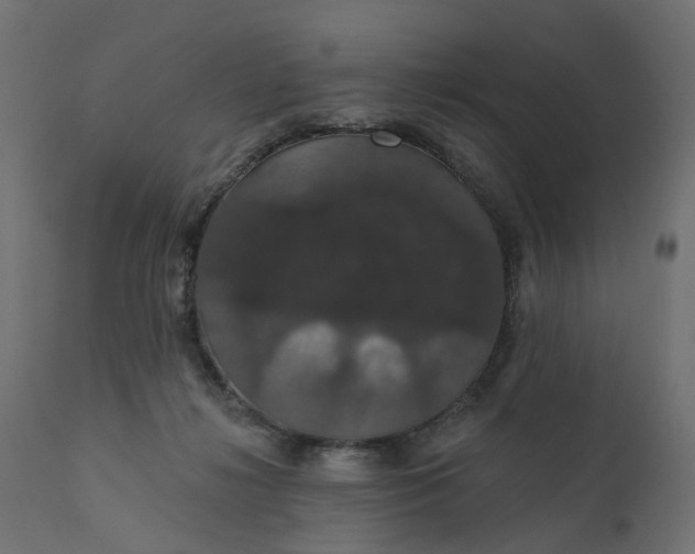 X0000110700268200906261415