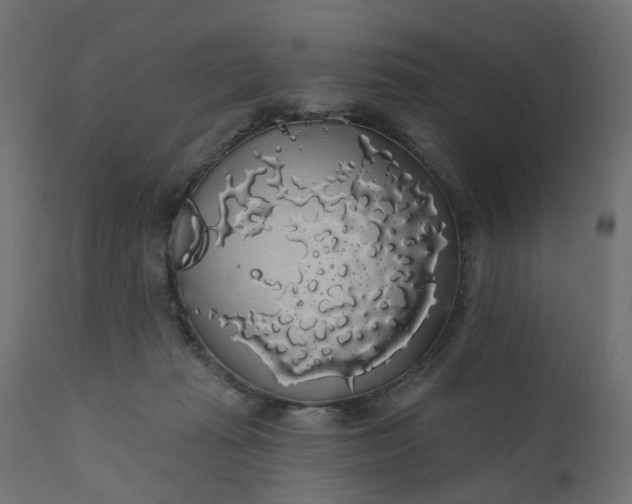 X0000110700269200906261415