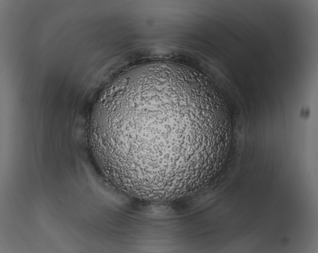 X0000110700270200906261415