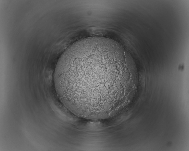 X0000110700271200906261415