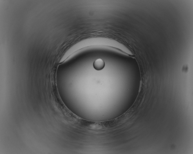 X0000110700272200906261415