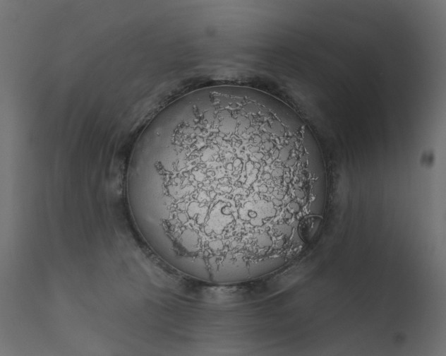 X0000110700273200906261415