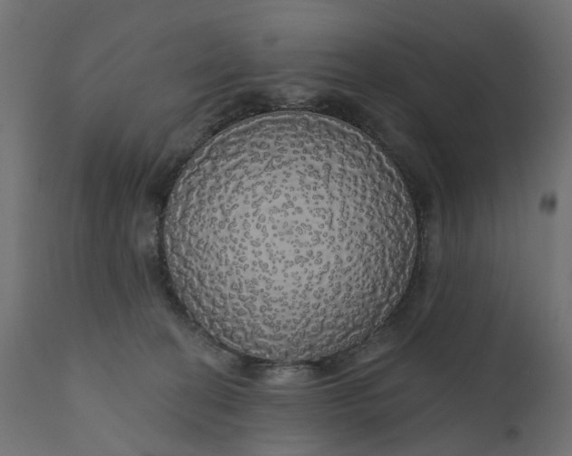 X0000110700274200906261415