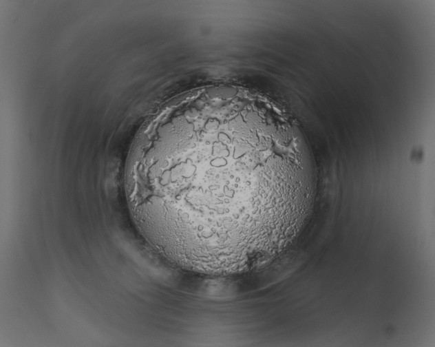 X0000110700275200906261415