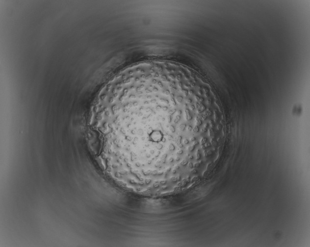 X0000110700277200906261415