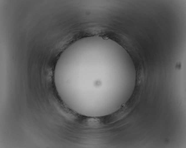 X0000110700279200906261415