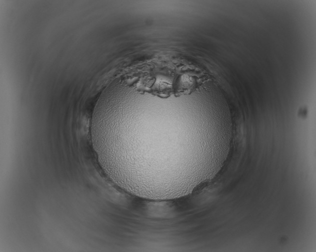 X0000110700281200906261415