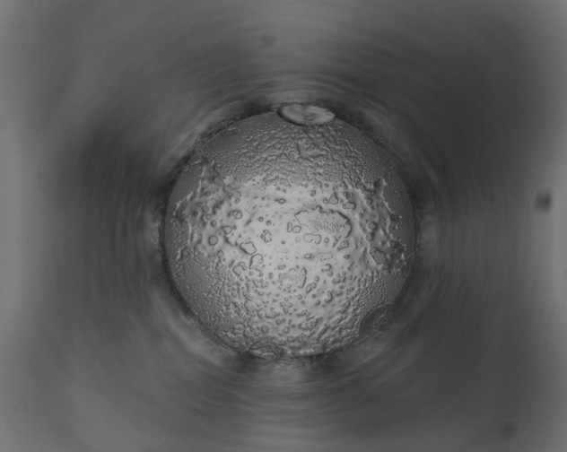 X0000110700282200906261415