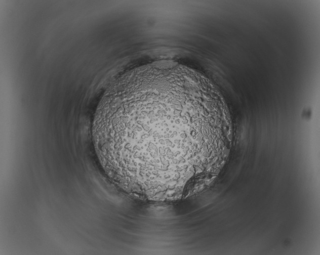 X0000110700283200906261415