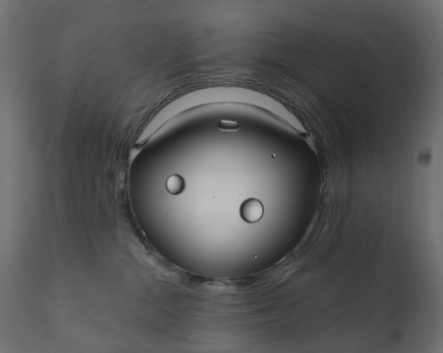 X0000110700284200906261415