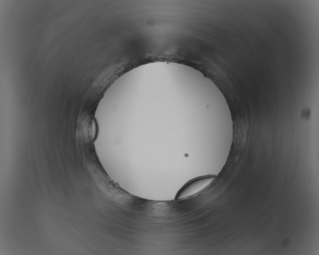 X0000110700287200906261415