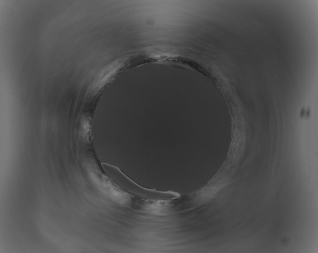 X0000110700288200906261415