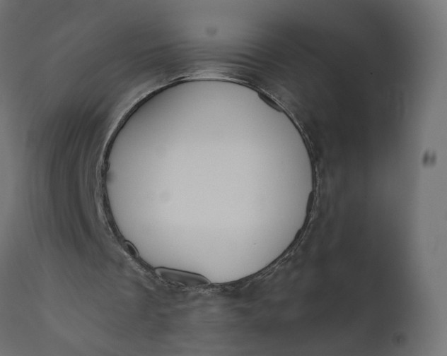 X0000110700289200906261414