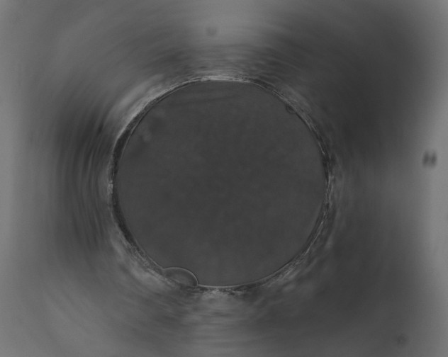 X0000110700290200906261414