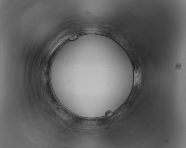 X0000110700291200906261414