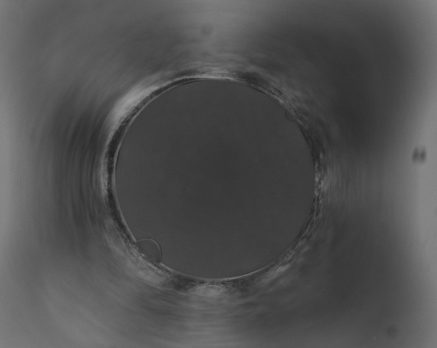 X0000110700294200906261414