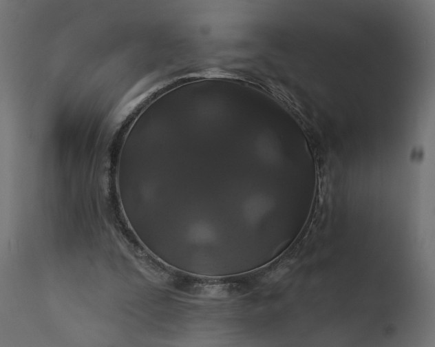 X0000110700295200906261414