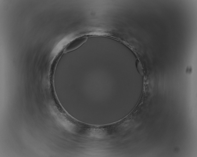 X0000110700296200906261414