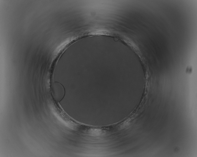 X0000110700298200906261414