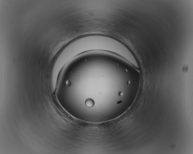 X0000110700299200906261414