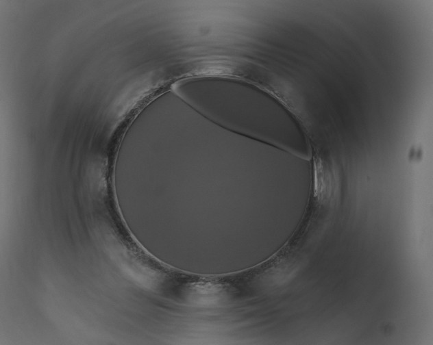 X0000110700300200906261414