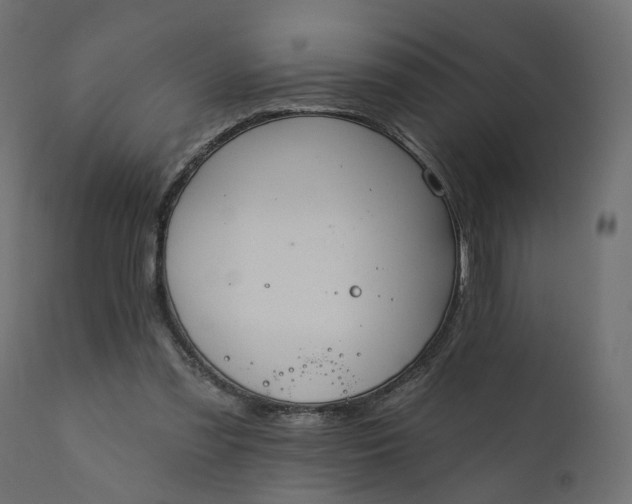 X0000110700301200906261414