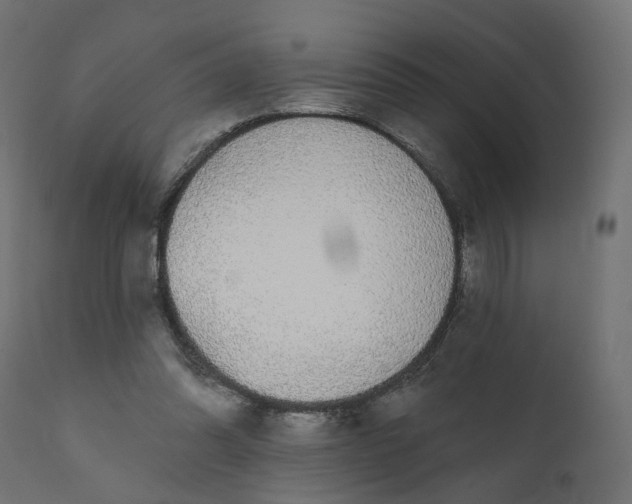 X0000110700302200906261414