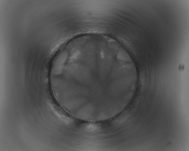 X0000110700303200906261414