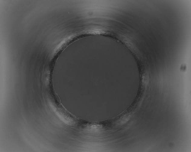 X0000110700304200906261414