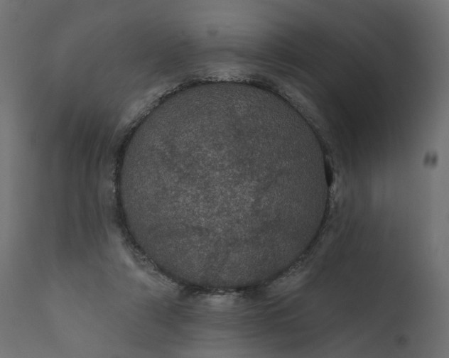 X0000110700306200906261414