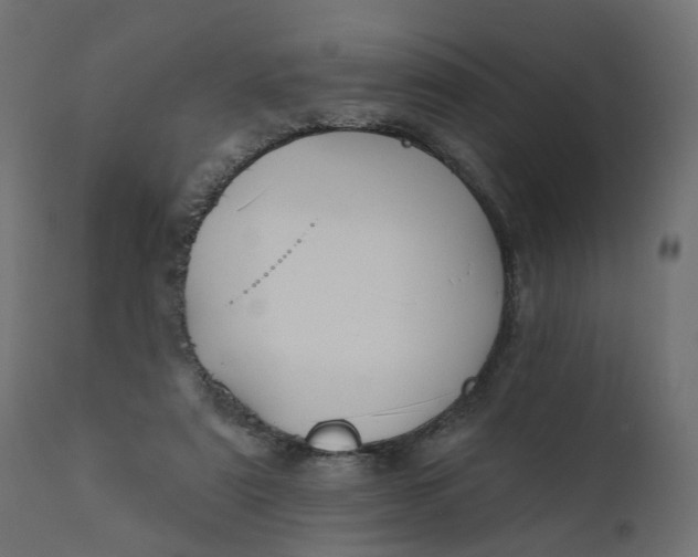 X0000110700307200906261414