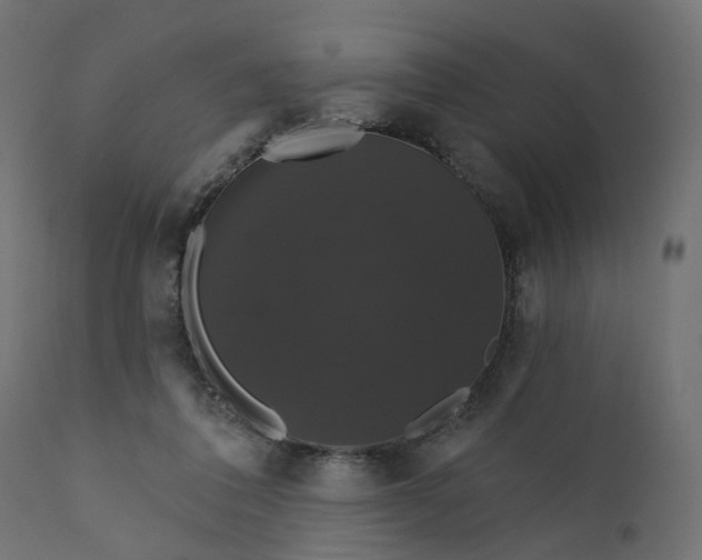 X0000110700308200906261414