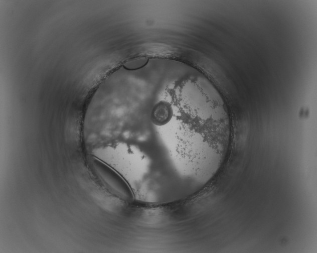 X0000110700309200906261414