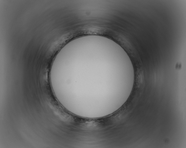 X0000110700310200906261414