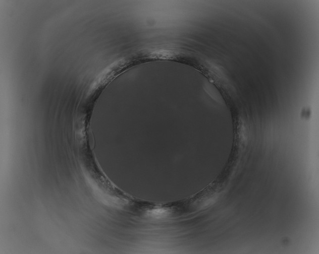 X0000110700312200906261414