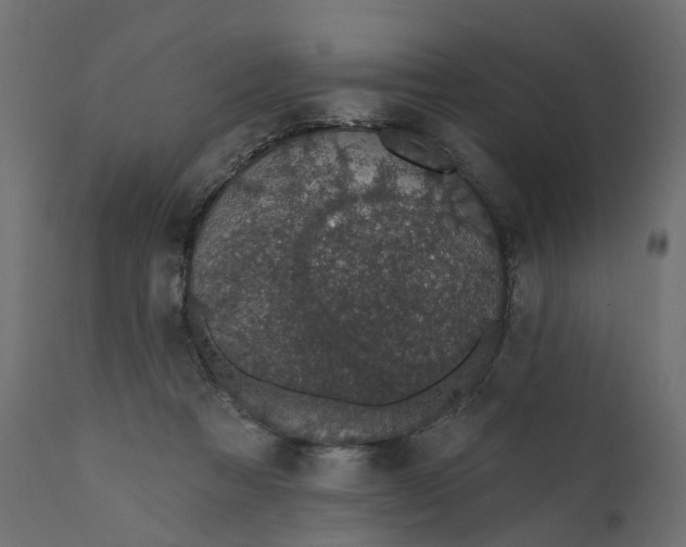 X0000110700313200906261414