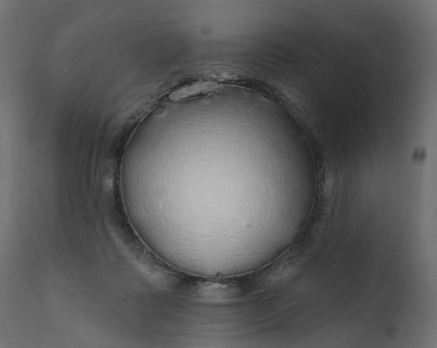 X0000110700315200906261414