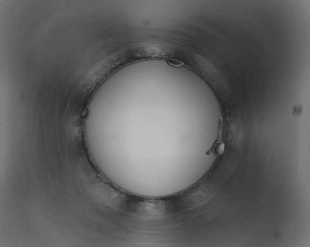 X0000110700317200906261414