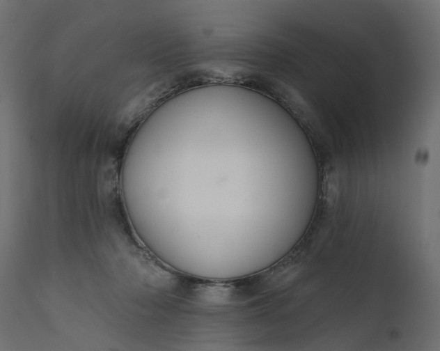 X0000110700318200906261414