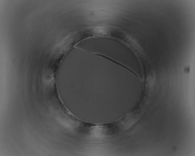 X0000110700320200906261414