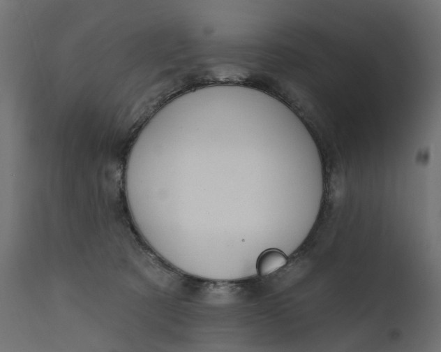 X0000110700321200906261414