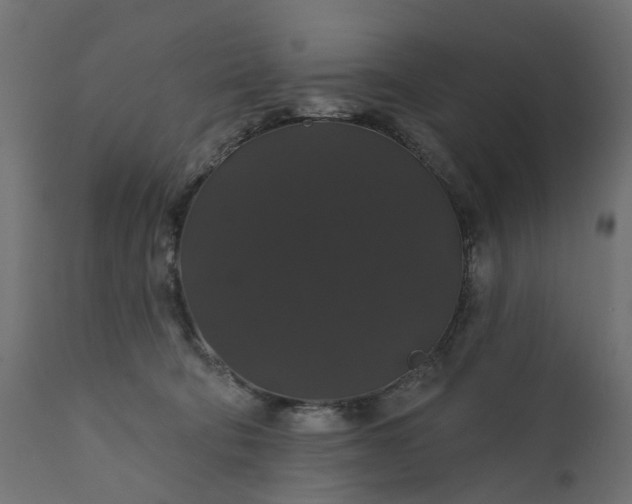 X0000110700322200906261414