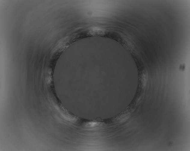 X0000110700323200906261414