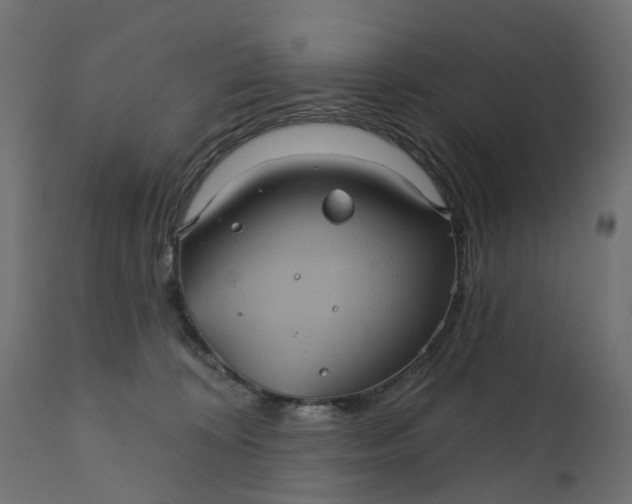 X0000110700324200906261414