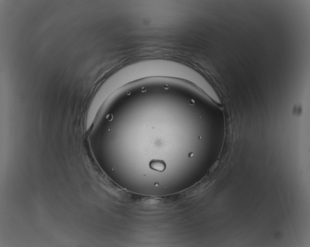 X0000110700325200906261414